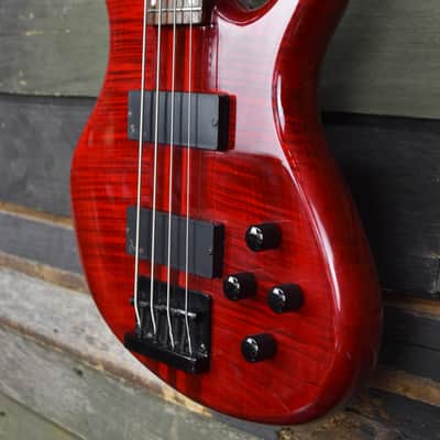 Epiphone Tobias Toby Pro-IV Bass  2004 Translucent Red image 4
