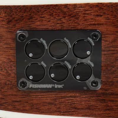 Mint D'Angelico DAEOMXTVSBGP Excel Tammany XT Acoustic Electric Guitar, Vintage Burst image 12