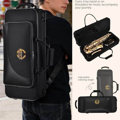 Leo Jaymz Eb Alto Saxophone - One-Piece Body or Neck Construction, H68 Brass, with Thickened Travel Bag - Gold image 5