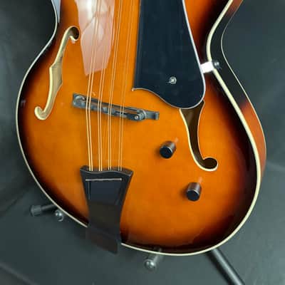 Gold Tone Mandocello 8-String Acoustic-Electric Vintage Sunburst w/ Hardshell Case image 4