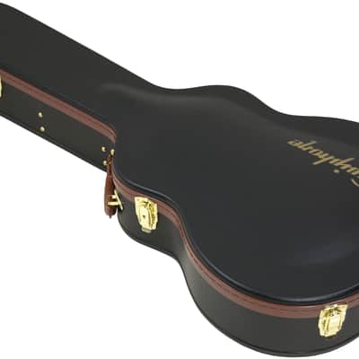 Epiphone L-00 / Parlor Koffer image 2