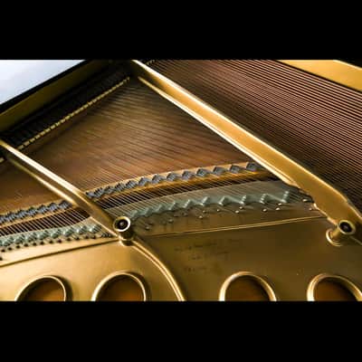 Steinway & Sons Model S Baby Grand Piano – Signed by Charles G. Steinway image 7