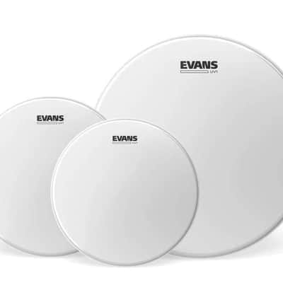 Evans heads image 2