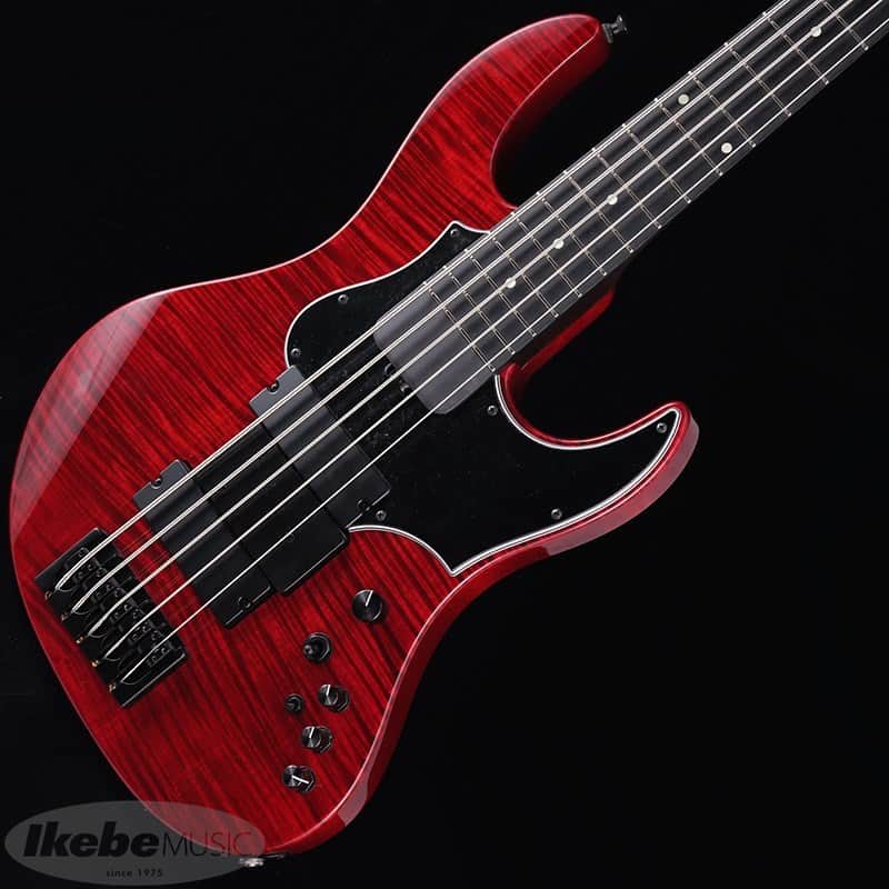 ESP AMAZE-5-190 [IKUO Signature Model] -Made in Japan- | Reverb