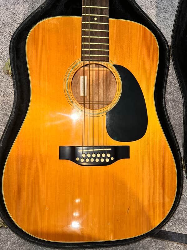 Takamine 12-String Dreadnought Acoustic Guitar Natural w/ Hard Case image 1