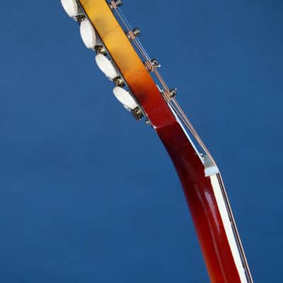Harmony H167 / 1969 / Relive that Endless Summer image 12