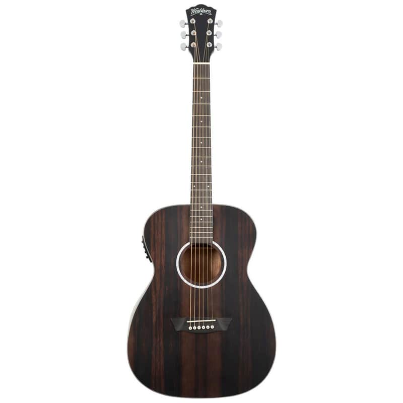 Washburn Deep Forest FE image 1