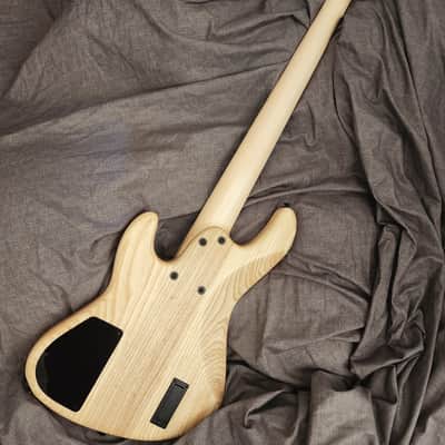 Overwater Hybrid Series Custom 5 image 12