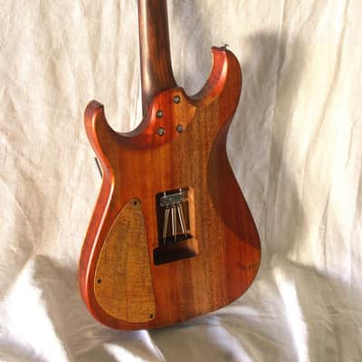 Bhakatt Double Cut 2026 - Body Polyurethanes neck oil finish, beautiful figure wood image 11