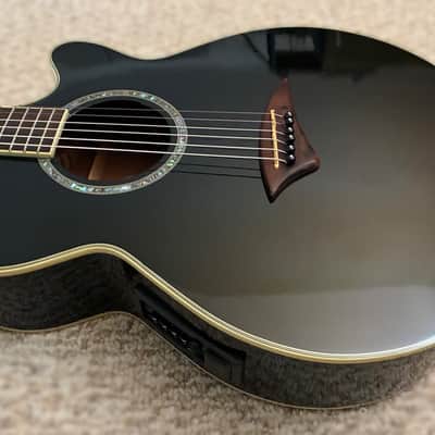 New! Dean Michael Schenker Performer Acoustic Electric Guitar