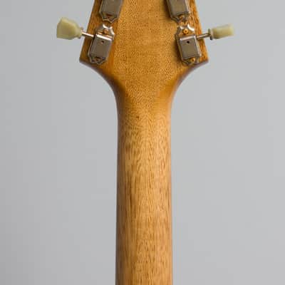 Echopark  Albert 58 Flying V Solid Body Electric Guitar (2017), ser. #XX-020/EL-1370, original brown tolex hard shell case. image 6