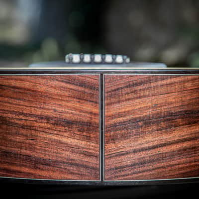 Salz Guitars PS 2023 - Swiss moon spruce & Indian rosewood image 8