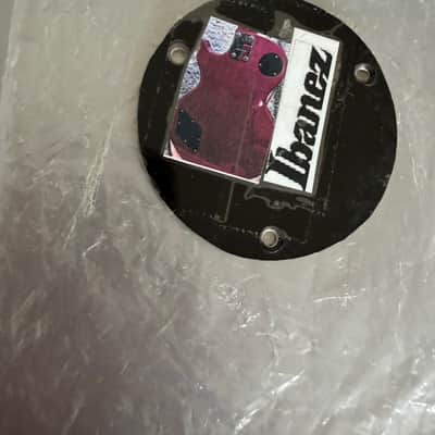 Ibanez LP backplate and switch cover set 1970s - Black image 2