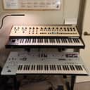 Oberheim OB-X8 61-Key + SEM Overlay!