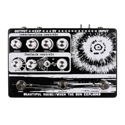 Beautiful Noise Effects When the Sun Explodes Reverb Pedal image 1