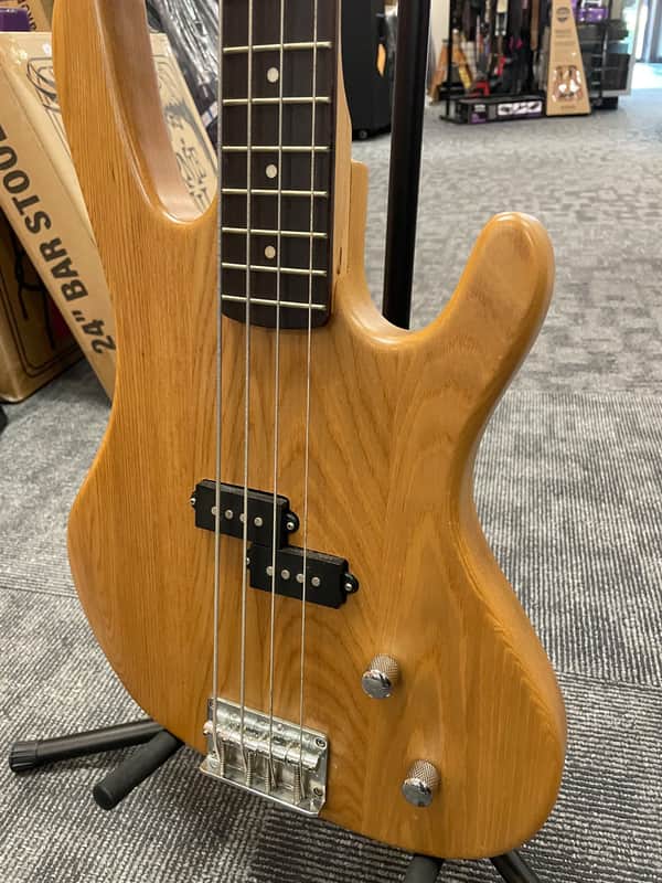 Washburn XB 100 | Reverb