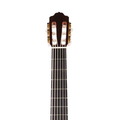 6 String Contrabass Guitar (Octave Bass) - Esteve PS75 - All Solid Wood/Cedar/Indian Rosewood - 750mm Scale Length image 7