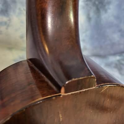 Video Demo Vintage RARE 1955 Gibson Soprano Brand Ukulele New Strings All Original Brand New Hard Shell Case image 11