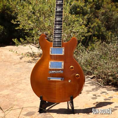 Gibson Les Paul Standard Double Cutaway 1998 - Amber Serrano image 22