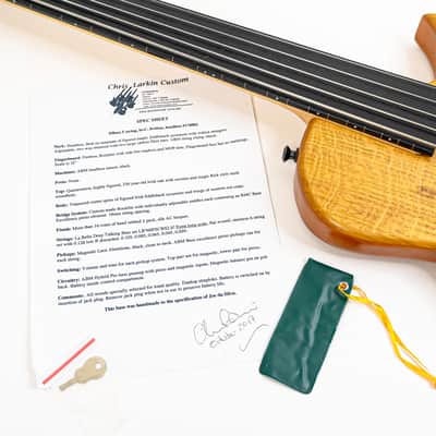 2017 Chris Larkin ASAP DB5 5-String Fretless Headless Bass Guitar w/ 330 Year Old Figured Irish Oak Top, Alumitone Humbucker, RMC Bass Excellence Piezo System, 32” Scale image 17