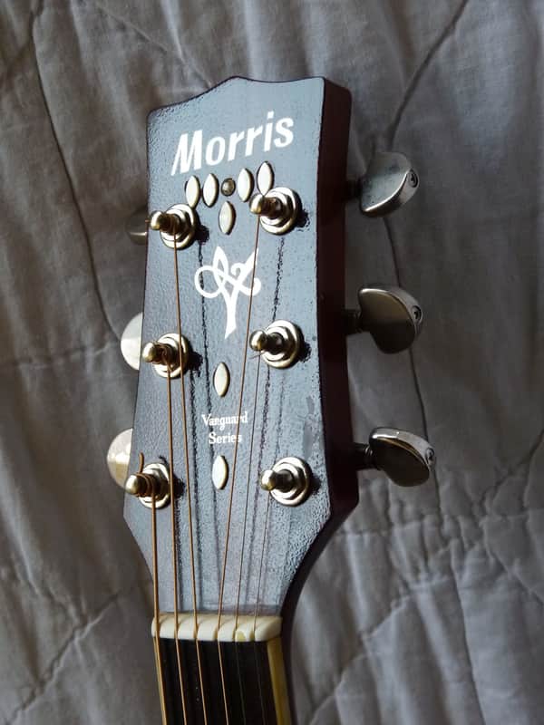 Morris MV-701 1982 Vanguard Series Acoustic | Reverb
