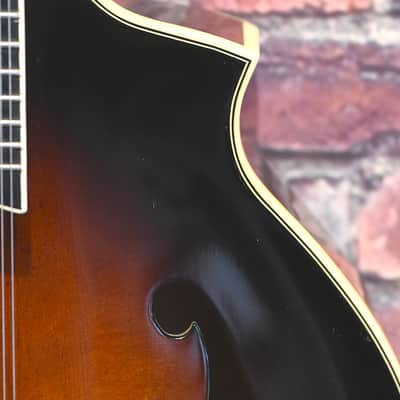 Kentucky Dawg Mandolin image 16