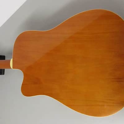 Asheville Single Cutaway Acoustic Guitar image 10