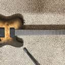 ESP LTD TE-1000 Evertune - Fishman Fluence Pickups