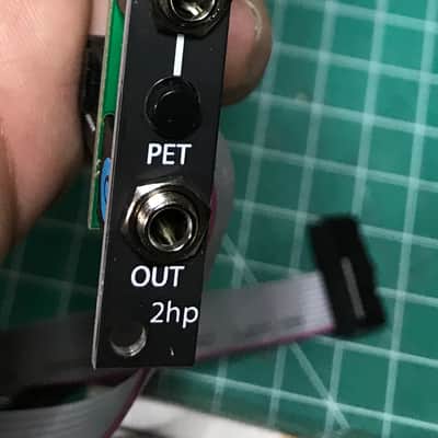 2hp Cat v2 + Cat Nip - Fat Cat Bundle - Halloween 2021 Black eurorack synth multi-effects module image 2