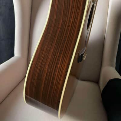 Martin Trey Anastasio Signature Edition DC Fishman Ellipse image 7