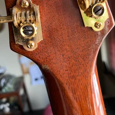 Gretsch Roundup 1955 - Mahogany Brown image 12