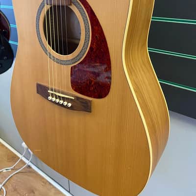 Norman B20 (6)  Natural Satin Acoustic Guitar image 3