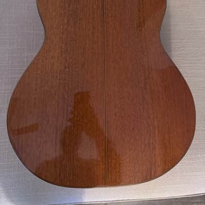 Di Giorgio Master E Classical Acoustic Nylon Guitar 2011 image 8