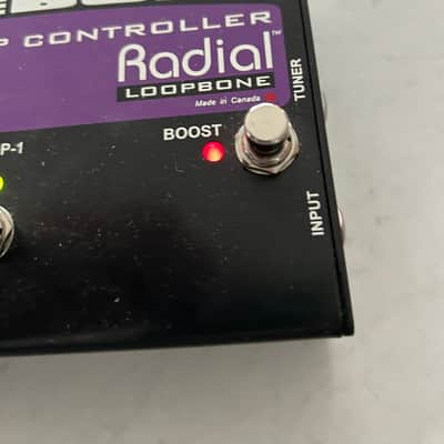 Radial Tonebone Loopbone 2010s - Purple image 4
