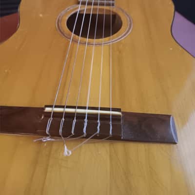 Goya Classical Guitar 1963 - Lacquer image 19