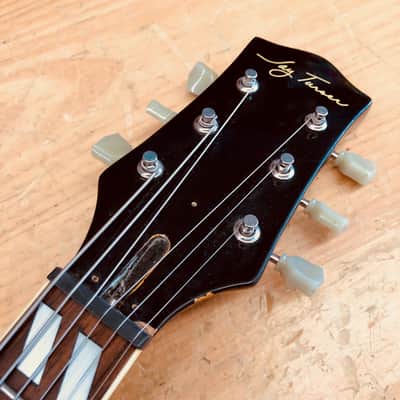 Jay Turser Hollow-body Jazz Box Electric Guitar image 2