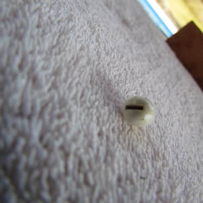 1978 Fender Stratocaster Switch Tip Genuine Vintage Part Shows Some Wear But Original Made In USA 1978 Stratocaster Switch Tip image 3