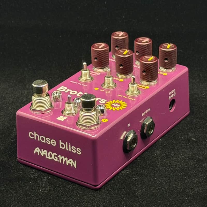 Chase Bliss Audio Brothers AM