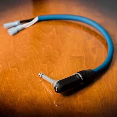 Fender Blues Jr. Speaker Cable Upgrade by Fargen Amps image 2