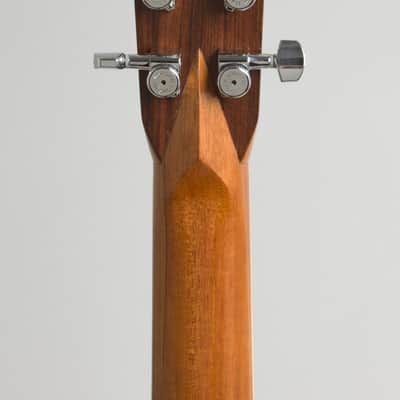 Tristani Style 5-18 Terz Parlor Guitar (2020), ser. #001, original black tolex hard shell case. image 6