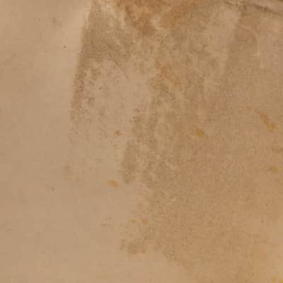 1950s WFL 24" Calfskin Bass Drum Head image 4