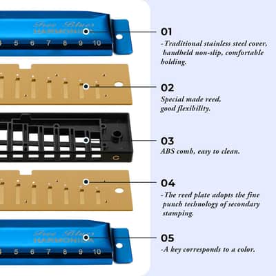 Harmonica Set, 7 Keys Diatonic Mouth Organ with Case, A, B, C, D, E, F, G, Professional, Bronze Reed, Polished Finish image 3