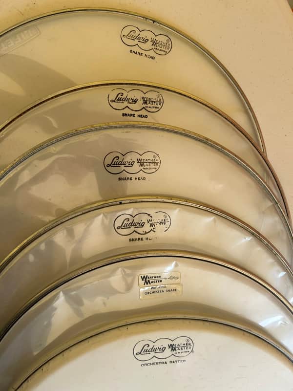 Ludwig 14" Drum Heads - 1960s Vintage image 1