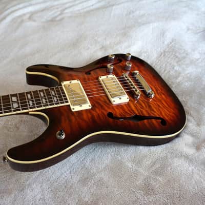 Schecter C-1 E/A Piezo Semi-Hollow Electric Guitar C1 Quilted Maple Top Korean Diamond Series image 21