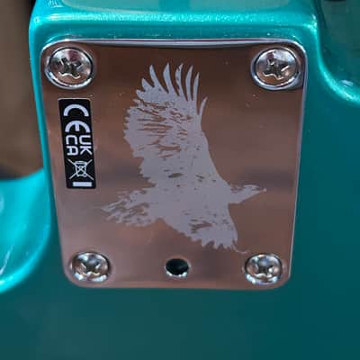 Fender Susan Tedeschi Telecaster  - Aged Caribbean Mist / 7lbs. 15.3oz #ST240639 image 8
