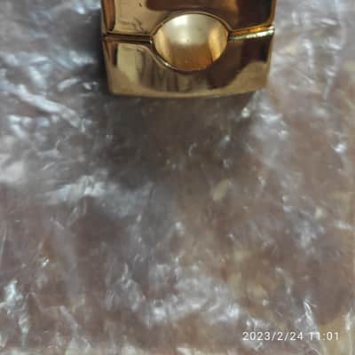 DW tb gold image 3