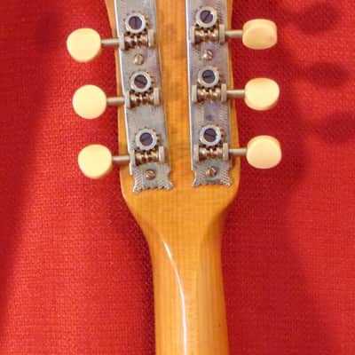 Banjolin Maple (Slingerland???) image 5