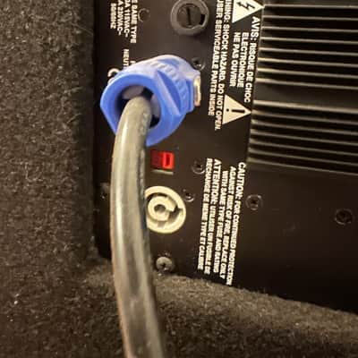 Bergantino IP322 prototype (one of a kind!!!) powered bass cabinet image 4
