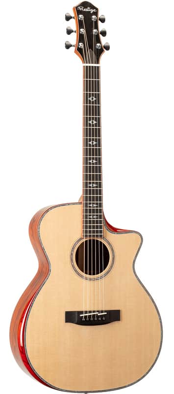 Prestige Master Class Cocobolo (with Fishman Electronics) w/Case image 1