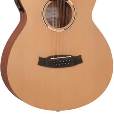 Tanglewood TR412CE Roadster II Series Electro-Acoustic 12 String Super Folk Cutaway image 1